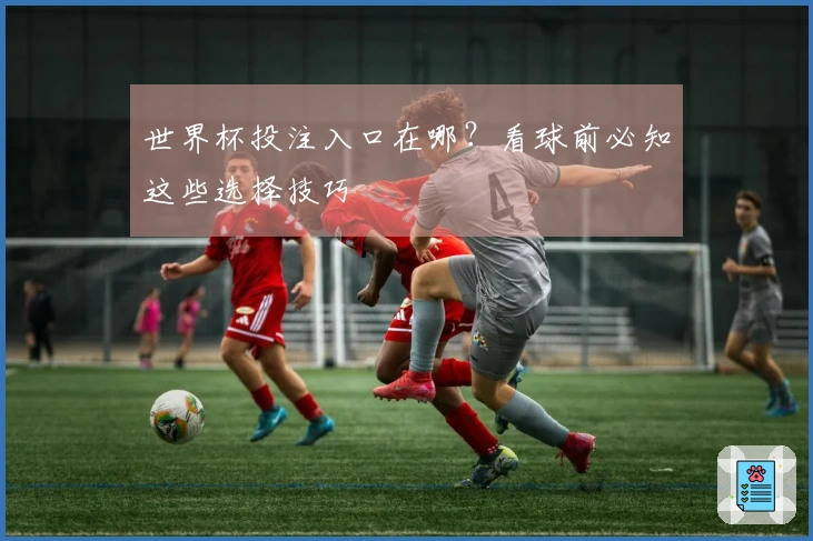 世界杯投注入口在哪？看球前必知这些选择技巧