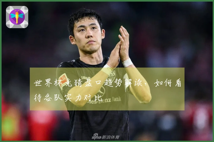 世界杯竞猜盘口趋势解读，如何看待各队实力对比