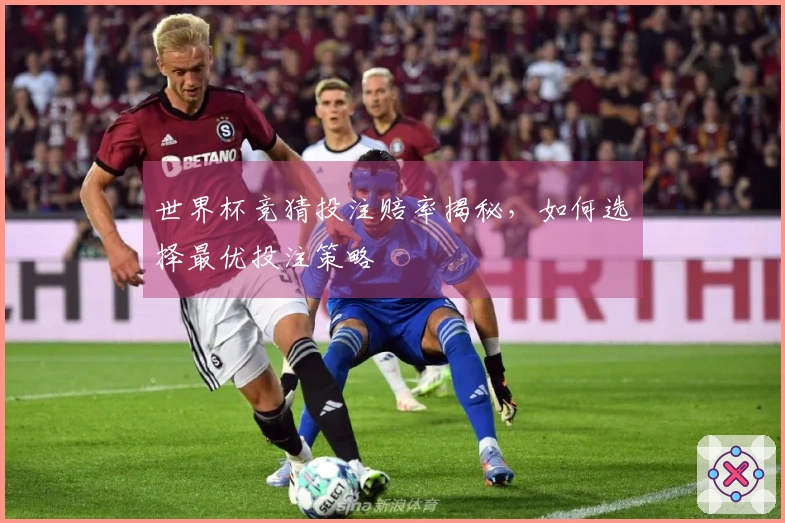 世界杯竞猜投注赔率揭秘，如何选择最优投注策略