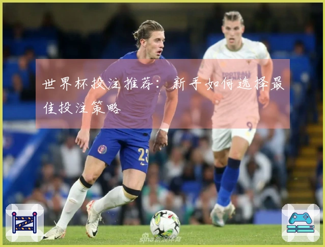 世界杯投注推荐：新手如何选择最佳投注策略