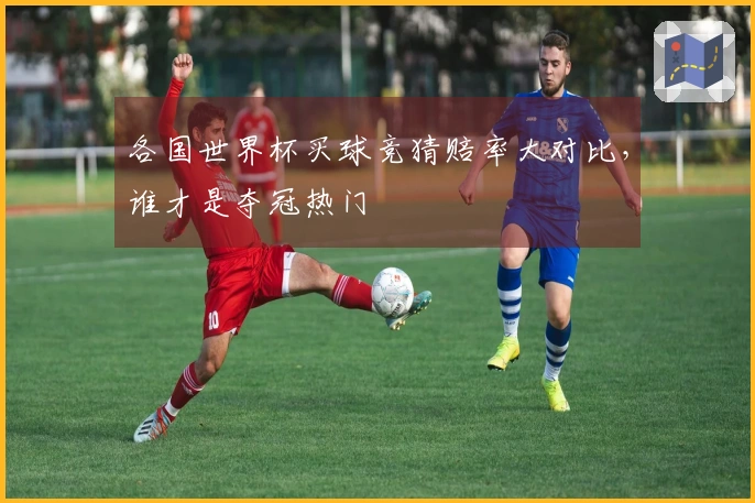 各国世界杯买球竞猜赔率大对比，谁才是夺冠热门