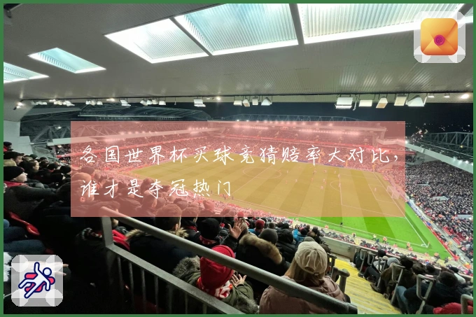 各国世界杯买球竞猜赔率大对比，谁才是夺冠热门