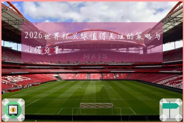 2026世界杯买球值得关注的策略与心得分享