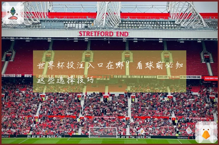 世界杯投注入口在哪？看球前必知这些选择技巧