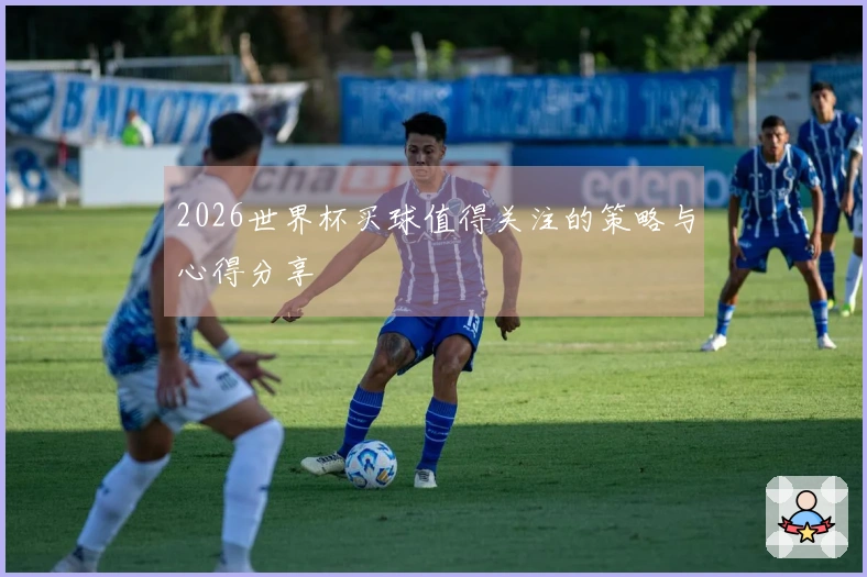 2026世界杯买球值得关注的策略与心得分享