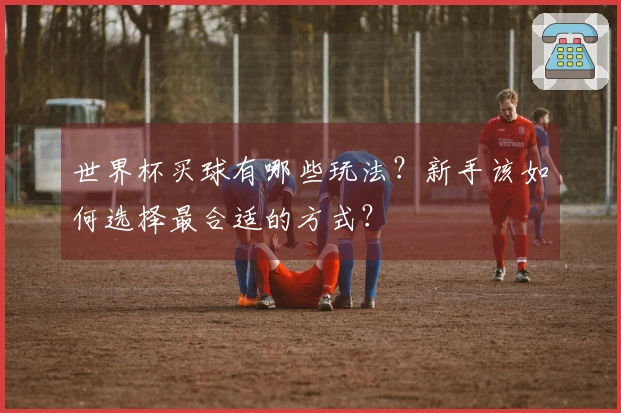 世界杯买球有哪些玩法？新手该如何选择最合适的方式？
